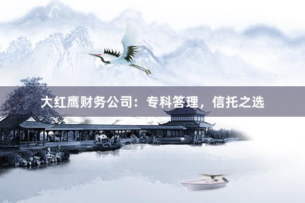 大红鹰财务公司：专科答理，信托之选