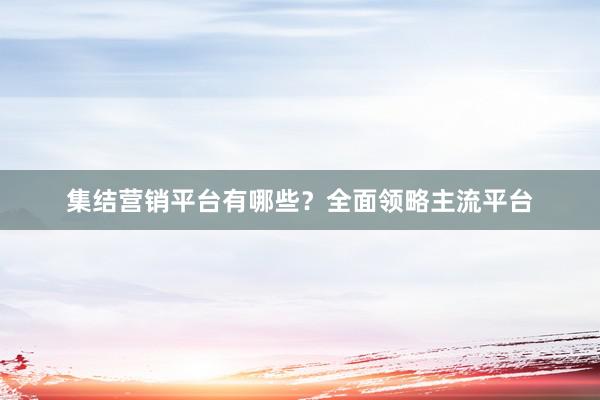 集结营销平台有哪些？全面领略主流平台